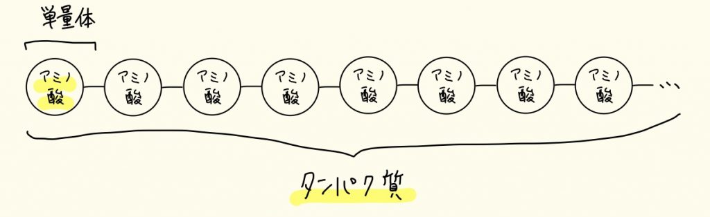 天然高分子化合物タンパク質